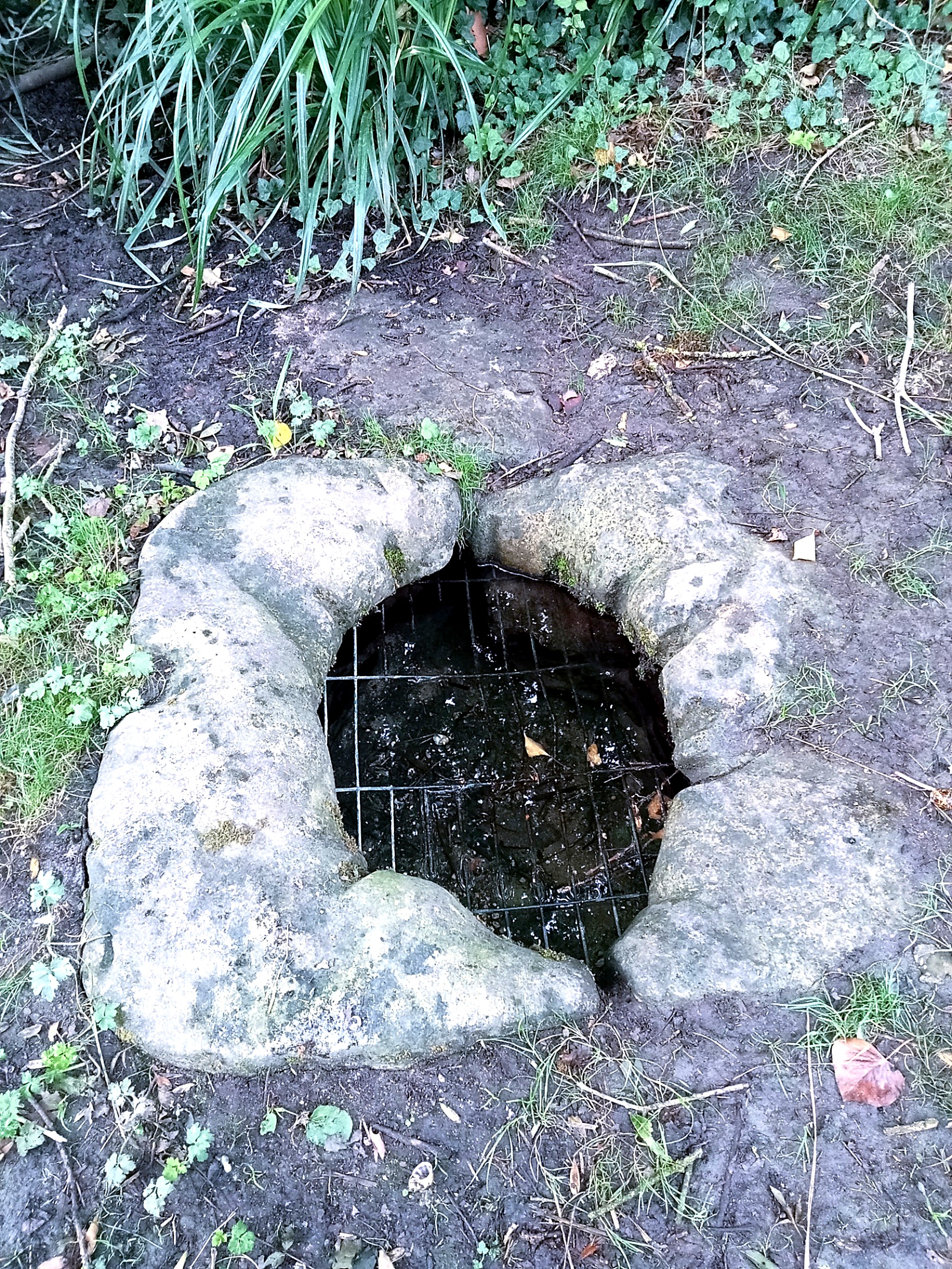 La source de la fontaine Charlemagne, cerclée de pierres et protégée par une grille