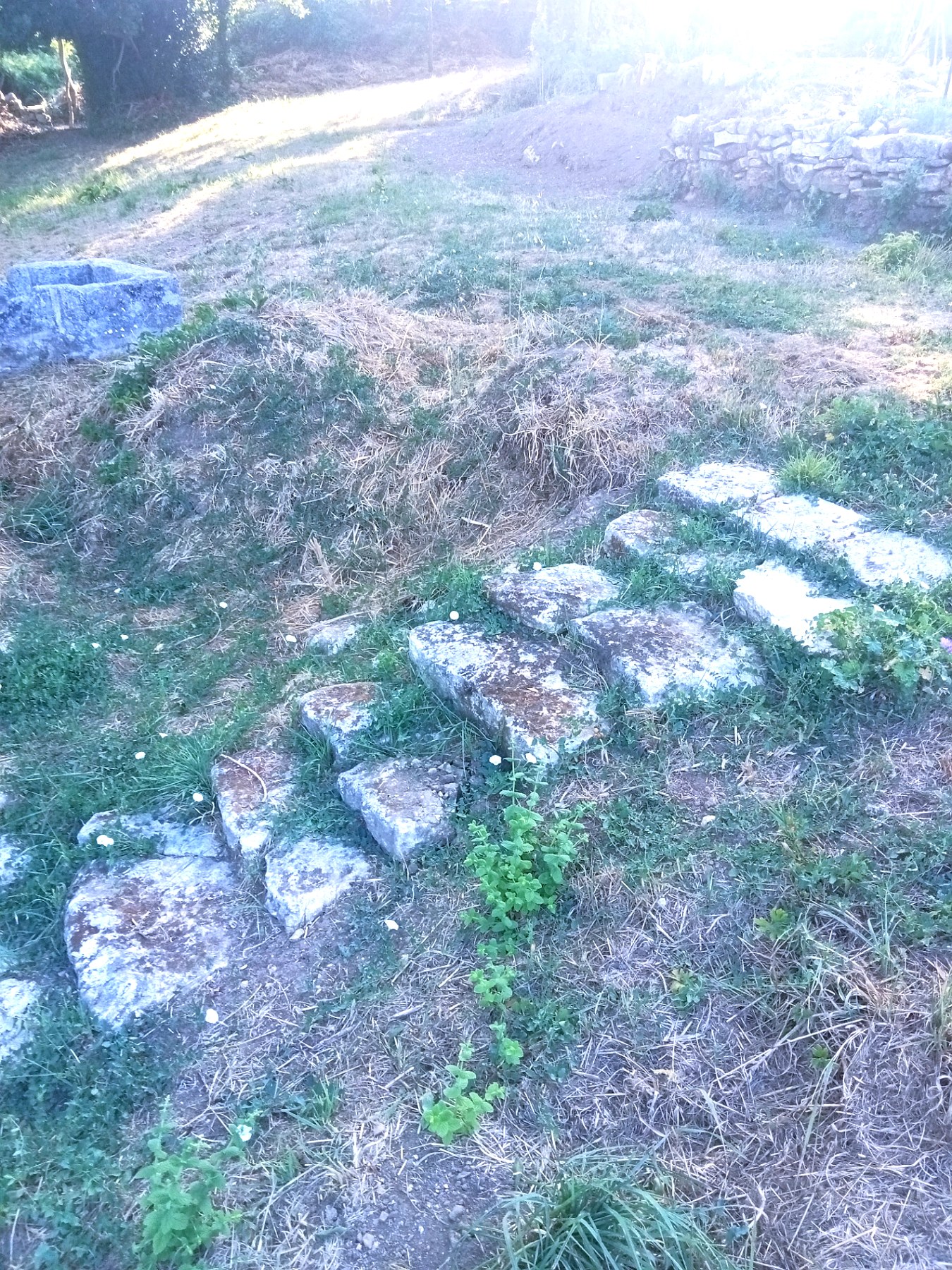 Escaliers de pierre disjoints menant au lavoir, envahis par l'herbe