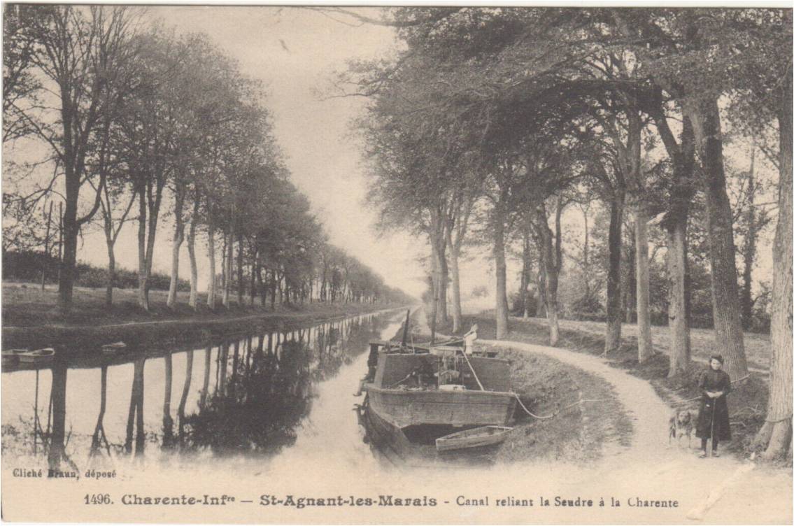 Carte postale ancienne : le canal de la Bridoire bordé d'arbres avec un gabard amarré, à Saint-Agnant-les-Marais