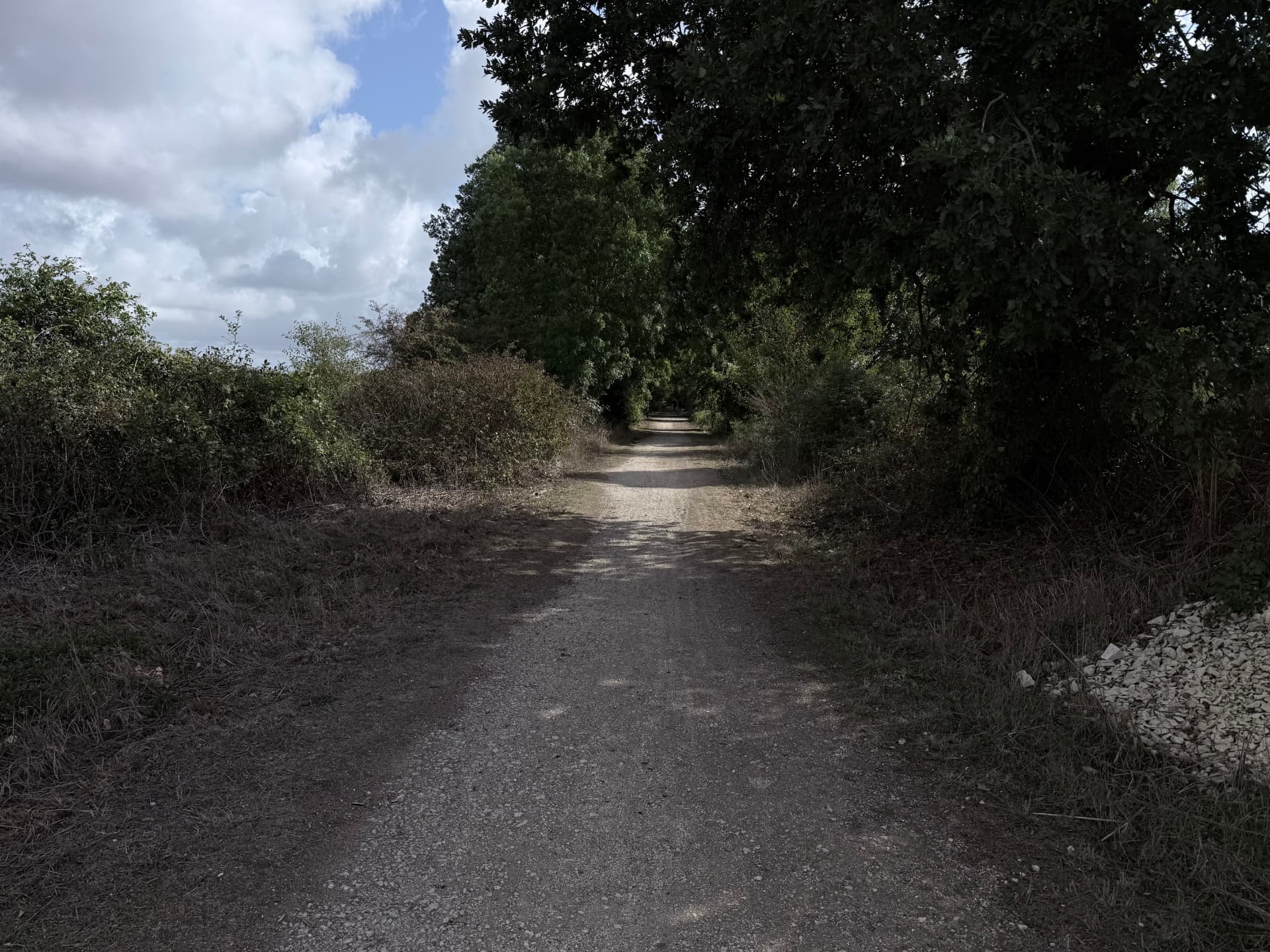 Le chemin blanc de la Vélodyssée bordé de haies sous un ciel de nuages