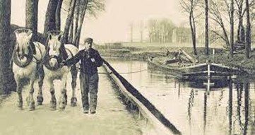 Gravure ancienne : un halage de gabard par deux chevaux le long d'un canal