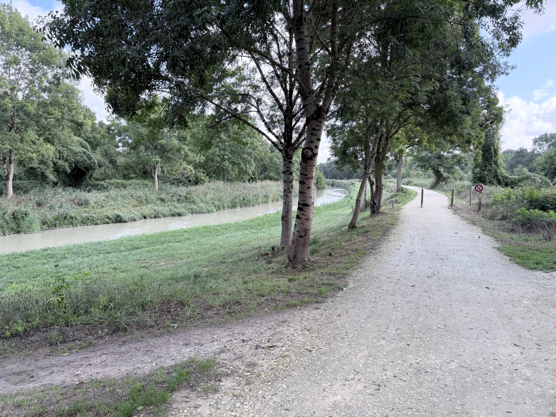 La Vélodyssée longeant le canal de la Bridoire sous une allée de frênes
