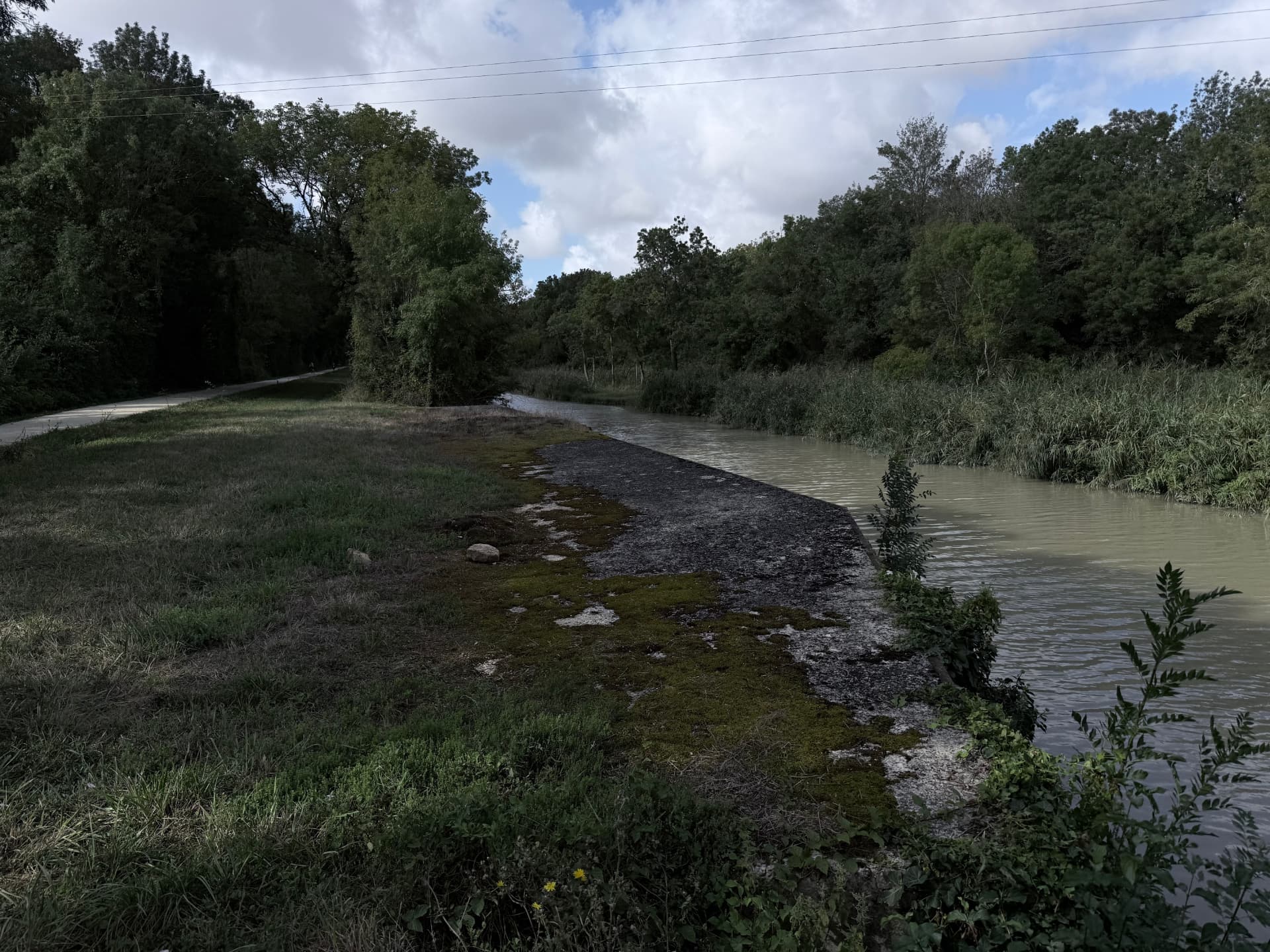 La Carrière de pierre du Carlot à Saint-Agnant (Nature, Antiquité – XXe siècle)